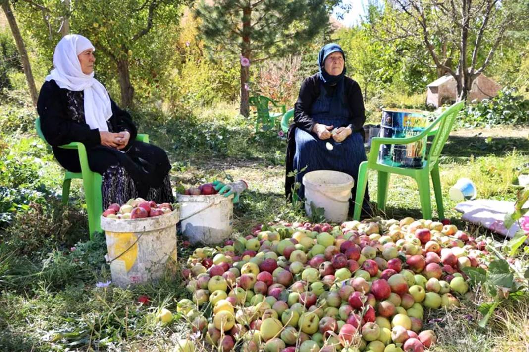 Yüksekova'da elma yağmuru! 'Taleplere yetişemiyorum' diye isyan etti 1